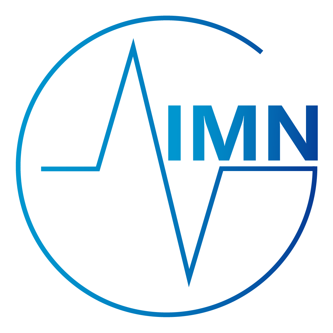 imn logo 1.15.2020-01 (1)